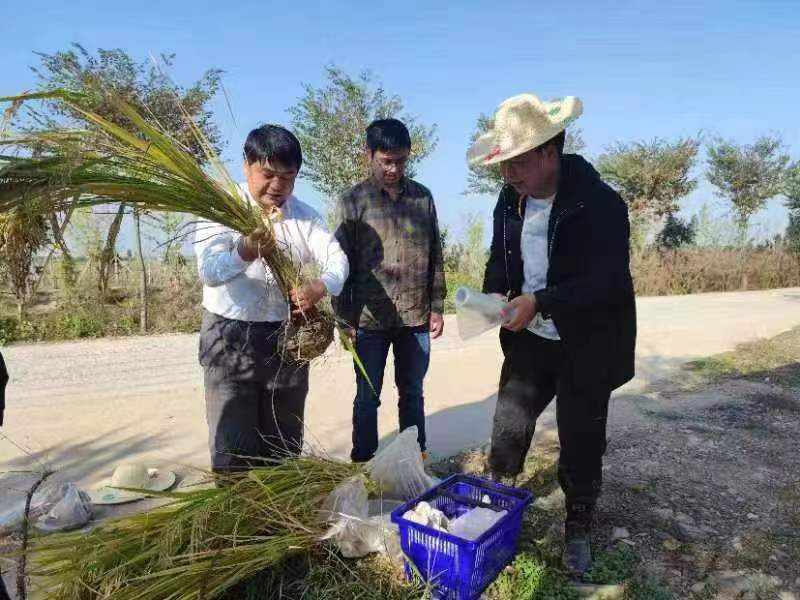 1683946587229836.jpg?x-oss-process=style/w10